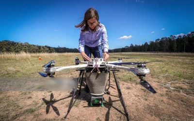 Jovem constrói drones que podem reflorestar e plantar até 100 mil árvores por dia